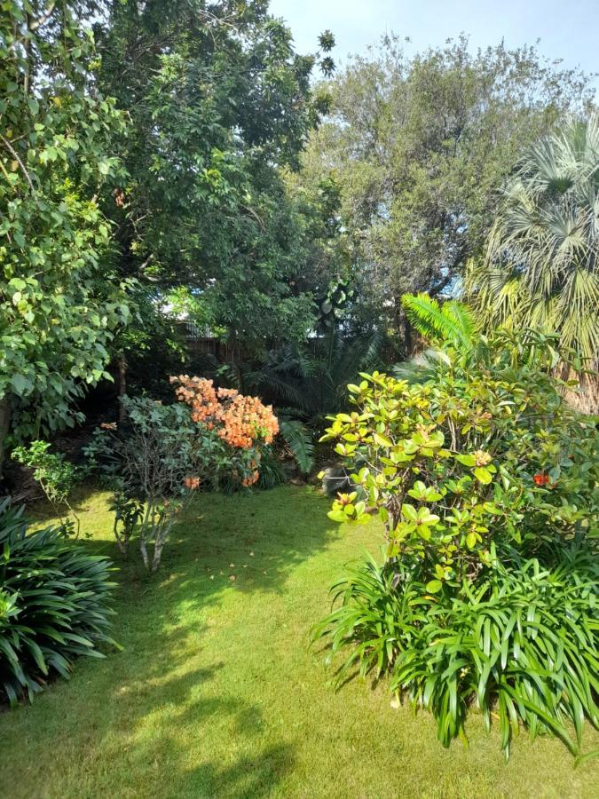 Tiko'S Place Auckland Zewnętrze zdjęcie